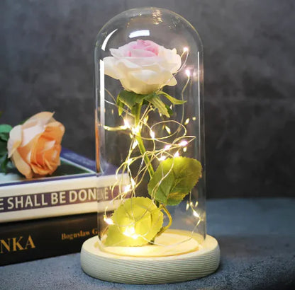 Enchanted Forever Rose Flower in Glass LED Light Christmas Decoration